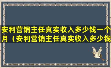 安利营销主任真实收入多少钱一个月（安利营销主任真实收入多少钱一个月啊）