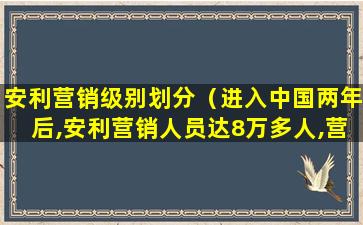 安利营销级别划分（进入中国两年后,安利营销人员达8万多人,营业额达1）