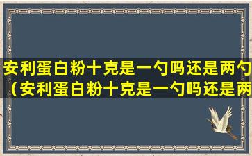 安利蛋白粉十克是一勺吗还是两勺（安利蛋白粉十克是一勺吗还是两勺呢）