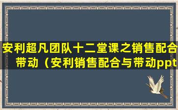 安利超凡团队十二堂课之销售配合带动（安利销售配合与带动ppt）