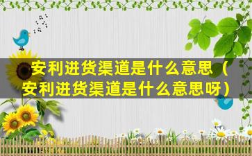 安利进货渠道是什么意思（安利进货渠道是什么意思呀）