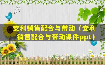 安利销售配合与带动（安利销售配合与带动课件ppt）