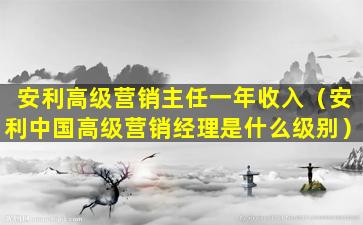 安利高级营销主任一年收入（安利中国高级营销经理是什么级别）