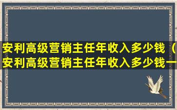 安利高级营销主任年收入多少钱（安利高级营销主任年收入多少钱一个月）