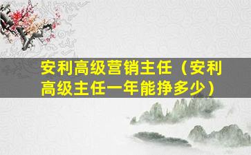 安利高级营销主任（安利高级主任一年能挣多少）