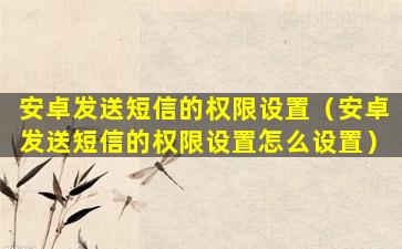 安卓发送短信的权限设置（安卓发送短信的权限设置怎么设置）