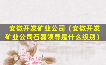 安微开发矿业公司（安微开发矿业公司石磊领导是什么级别）