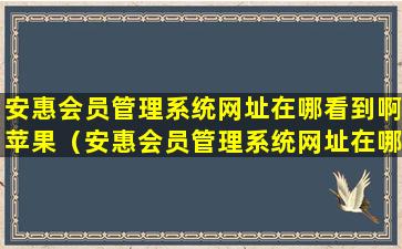 安惠会员管理系统网址在哪看到啊苹果（安惠会员管理系统网址在哪看到啊苹果手机）