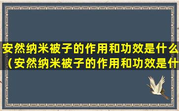 安然纳米被子的作用和功效是什么（安然纳米被子的作用和功效是什么样的）