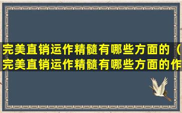 完美直销运作精髓有哪些方面的（完美直销运作精髓有哪些方面的作用）