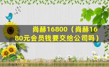 尚赫16800（尚赫1680元会员钱要交给公司吗）