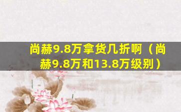 尚赫9.8万拿货几折啊（尚赫9.8万和13.8万级别）