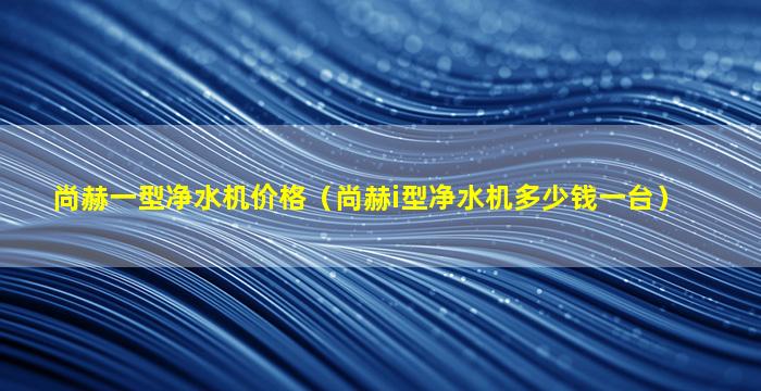 尚赫一型净水机价格（尚赫i型净水机多少钱一台）