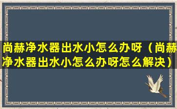 尚赫净水器出水小怎么办呀（尚赫净水器出水小怎么办呀怎么解决）