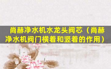 尚赫净水机水龙头阀芯（尚赫净水机阀门横着和竖着的作用）