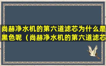 尚赫净水机的第六道滤芯为什么是黑色呢（尚赫净水机的第六道滤芯为什么是黑色呢怎么回事）