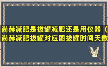 尚赫减肥是拔罐减肥还是用仪器（尚赫减肥拔罐对应图拔罐时间天数）