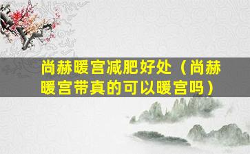 尚赫暖宫减肥好处（尚赫暖宫带真的可以暖宫吗）