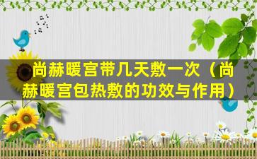 尚赫暖宫带几天敷一次（尚赫暖宫包热敷的功效与作用）