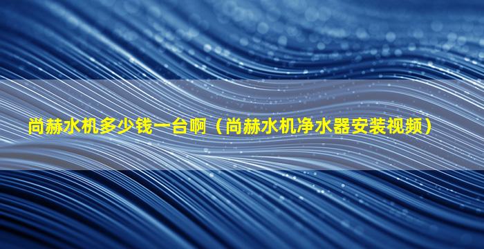 尚赫水机多少钱一台啊（尚赫水机净水器安装视频）