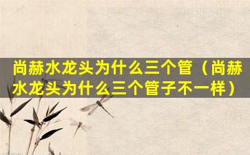 尚赫水龙头为什么三个管（尚赫水龙头为什么三个管子不一样）