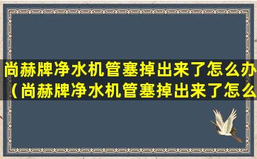 尚赫牌净水机管塞掉出来了怎么办（尚赫牌净水机管塞掉出来了怎么办视频）