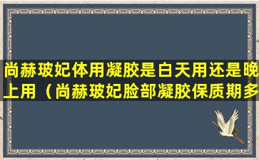 尚赫玻妃体用凝胶是白天用还是晚上用（尚赫玻妃脸部凝胶保质期多久）