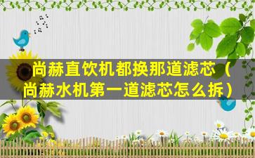尚赫直饮机都换那道滤芯（尚赫水机第一道滤芯怎么拆）