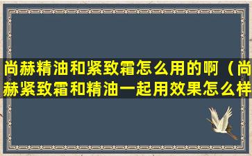 尚赫精油和紧致霜怎么用的啊（尚赫紧致霜和精油一起用效果怎么样）
