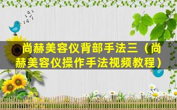 尚赫美容仪背部手法三（尚赫美容仪操作手法视频教程）