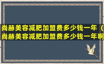 尚赫美容减肥加盟费多少钱一年（尚赫美容减肥加盟费多少钱一年啊）