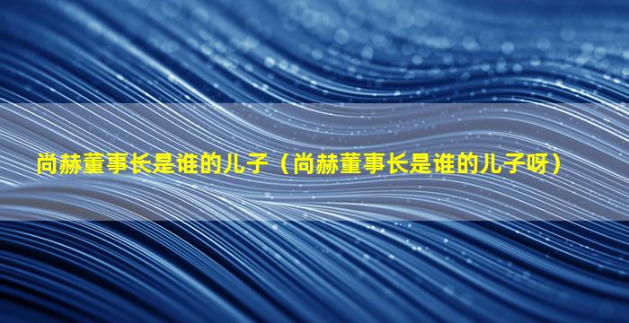 尚赫董事长是谁的儿子（尚赫董事长是谁的儿子呀）