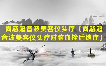 尚赫超音波美容仪头疗（尚赫超音波美容仪头疗对脑血栓后遗症）