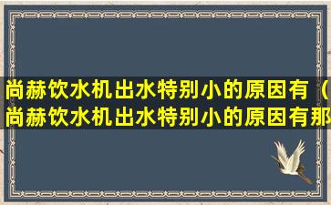 尚赫饮水机出水特别小的原因有（尚赫饮水机出水特别小的原因有那些）