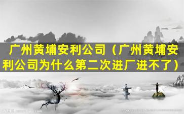 广州黄埔安利公司（广州黄埔安利公司为什么第二次进厂进不了）