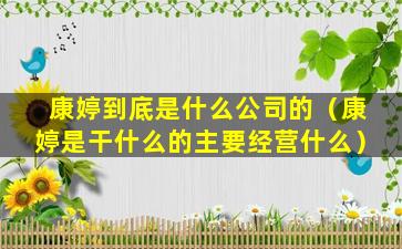 康婷到底是什么公司的（康婷是干什么的主要经营什么）