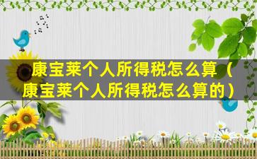 康宝莱个人所得税怎么算（康宝莱个人所得税怎么算的）