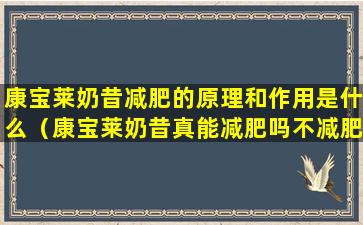 康宝莱奶昔减肥的原理和作用是什么（康宝莱奶昔真能减肥吗不减肥只会让你更健康的瘦）