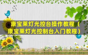 康宝莱灯光控台操作教程（康宝莱灯光控制台入门教程）