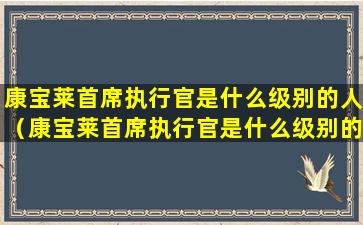 康宝莱首席执行官是什么级别的人（康宝莱首席执行官是什么级别的人呢）
