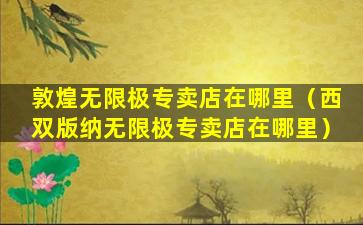 敦煌无限极专卖店在哪里（西双版纳无限极专卖店在哪里）