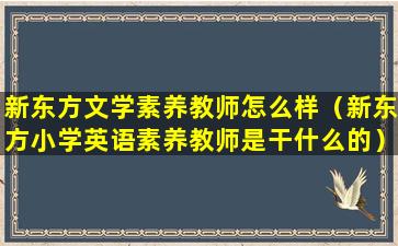 新东方文学素养教师怎么样（新东方小学英语素养教师是干什么的）