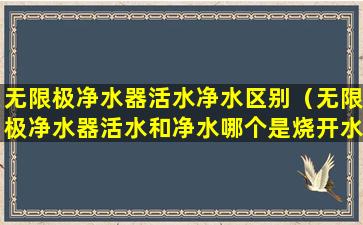 无限极净水器活水净水区别（无限极净水器活水和净水哪个是烧开水喝）