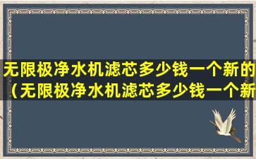 无限极净水机滤芯多少钱一个新的（无限极净水机滤芯多少钱一个新的啊）