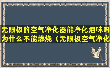 无限极的空气净化器能净化烟味吗为什么不能燃烧（无限极空气净化器怎么连接wifi）