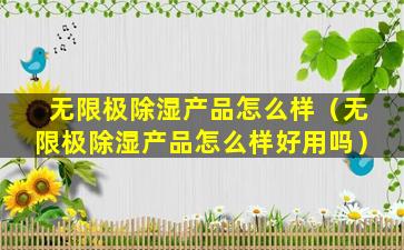 无限极除湿产品怎么样（无限极除湿产品怎么样好用吗）
