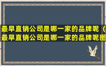 最早直销公司是哪一家的品牌呢（最早直销公司是哪一家的品牌呢图片）