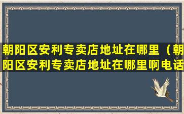 朝阳区安利专卖店地址在哪里（朝阳区安利专卖店地址在哪里啊电话）