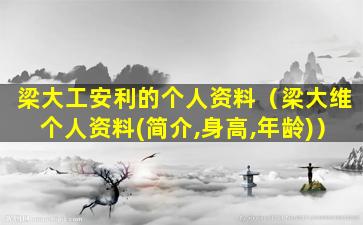 梁大工安利的个人资料（梁大维个人资料(简介,身高,年龄)）
