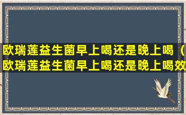 欧瑞莲益生菌早上喝还是晚上喝（欧瑞莲益生菌早上喝还是晚上喝效果好）